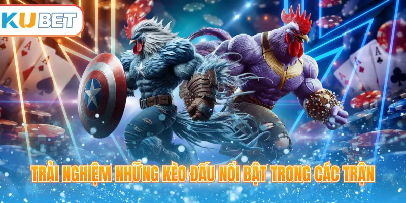 Trải nghiệm những kèo đấu nổi bật trong các trận